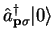 $\displaystyle {\hat a}_{{\bf p}\sigma}^{\dag } \vert 0 \rangle$