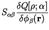 $\displaystyle S_{\alpha \beta}
\frac{\delta Q[\rho;\alpha]}{\delta \phi_{\beta}({\bf r})}$