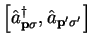 $\displaystyle \left[ {\hat a}_{{\bf p}\sigma}^{\dag } , {\hat a}_{{\bf p'}\sigma'} \right]$