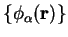 $\{ \phi_{\alpha}({\bf r}) \}$