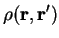 $\displaystyle {\rho}({\bf r},{\bf r'})$