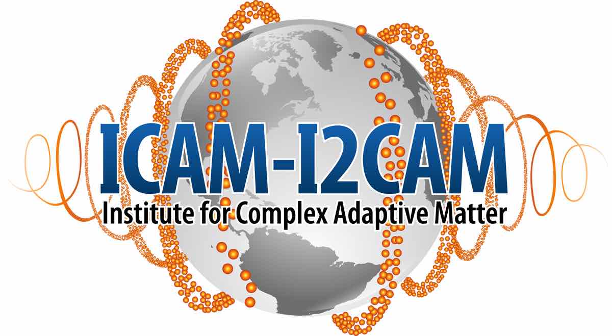 ICAM-I2CAM