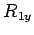 $ R_{1y}$