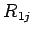 $ R_{1j}$