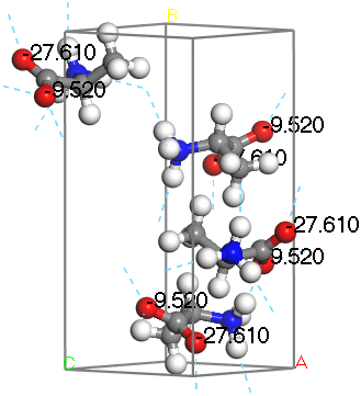 L-Alanine with hydrogen bonds displayed