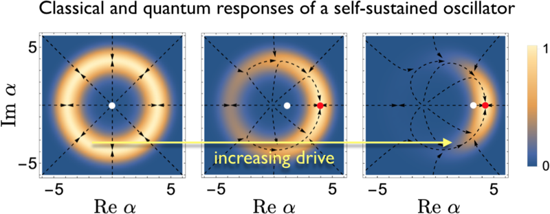 classical and quantum responses of a self-sustained oscillator