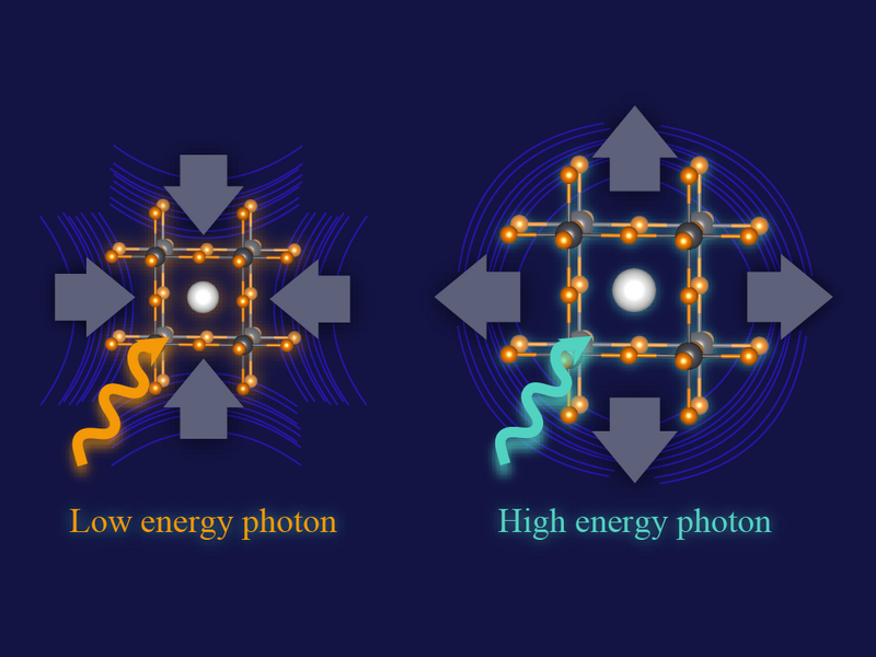 Tunable photostriction depending on photoexcitation energy