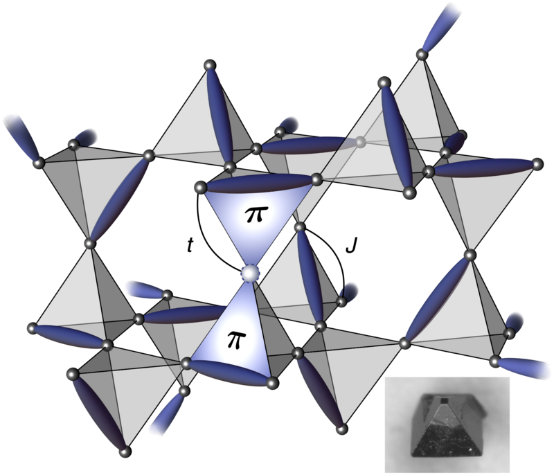 <i>t</i>-<i>J</i> model on the pyrochlore lattice