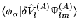 $\langle \phi_{\alpha} \vert\delta \hat{V}^{(A)}_{l} \Psi^{(A)}_{lm} \rangle$