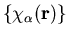 $\{ \chi_{\alpha}({\bf r})\}$