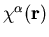 $\chi^{\alpha}({\bf r})$