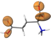 Molecular structure of glutamic acid