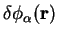 $\displaystyle \delta \phi_{\alpha} ({\bf r})$