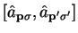 $\displaystyle \left[ {\hat a}_{{\bf p}\sigma} , {\hat a}_{{\bf p'}\sigma'} \right]$