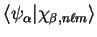 $\langle \psi_{\alpha} \vert \chi_{\beta , n \ell m} \rangle$