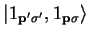 $\displaystyle \vert 1 _{{\bf p'}\sigma'} , 1_{{\bf p}\sigma} \rangle$