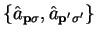 $\displaystyle \left\{ {\hat a}_{{\bf p}\sigma} , {\hat a}_{{\bf p'}\sigma'} \right\}$