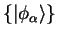 $\{ \phi_{\alpha}({\bf r}) \}$