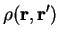 $\displaystyle \rho({\bf r},{\bf r'})$